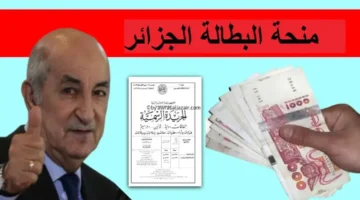 الخبر المنتظر.. الرئيس يصدر قرار بزيادة قيمة صرف منحة البطالة إلى 18 ألف دج من اعرف من هم المستفيدين 2025